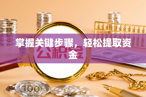千山掌握关键步骤，轻松提取资金
