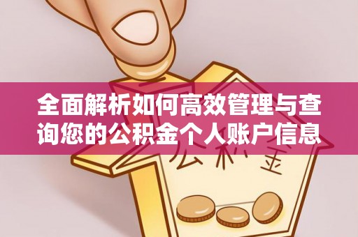 千山全面解析如何高效管理与查询您的公积金个人账户信息