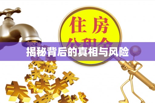 千山揭秘背后的真相与风险