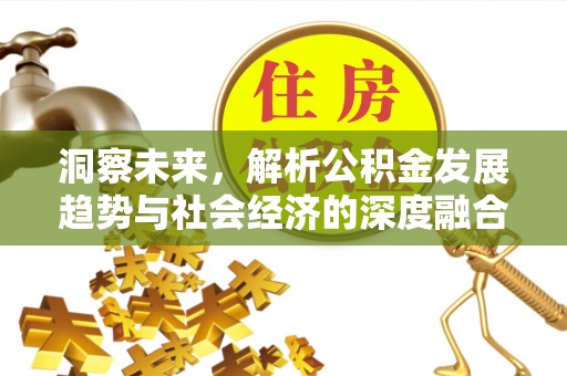 千山洞察未来，解析公积金发展趋势与社会经济的深度融合