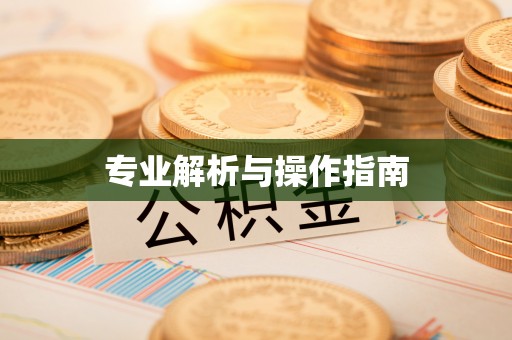 千山专业解析与操作指南