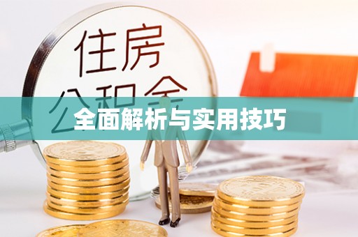 千山全面解析与实用技巧