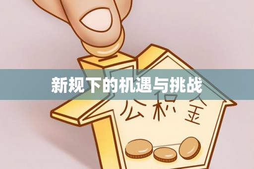 千山新规下的机遇与挑战